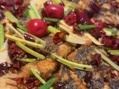 -老板恋上鱼(恒隆广场店)