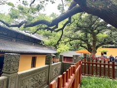 -普陀山风景名胜区-法雨禅寺