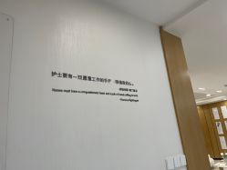 -智美品质医美