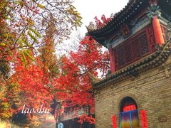 -兴教寺