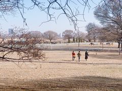 -赛汗塔拉风情园