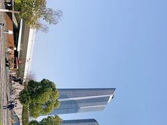 -南京眼步行桥