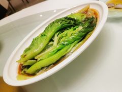 -饭怕鱼·黄焖鲟龙鱼(湖大店)