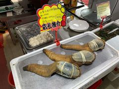 象拔蚌-蚝专家(北滘店)
