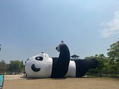 -苏州太湖国家湿地公园