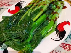 -憶廟街 X 沙角邨(太古城店)
