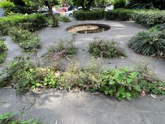 -青羊宫