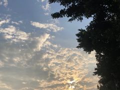 -深圳湾公园(南山区)