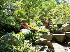 -火炉山森林公园