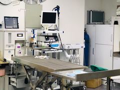 -喜多萌中农锦绣动物医院24H·猫科·牙科MRI·CT