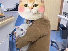 -宠颐生宠物医院外科·内科·皮肤科·影像科(石龙店)