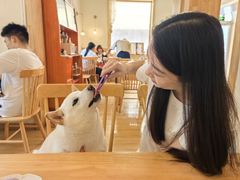 -柴の食堂·日式家庭料理·熊之肆(大学路店)