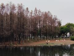 -厦门园林博览苑