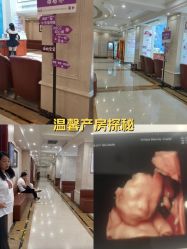 -上海百佳妇产医院