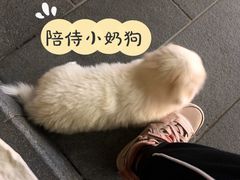 -小半有礼(天河南店)