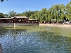 -尚庄度假村·庭台树下·户外烧烤·团建CS·轰趴营地(上庄水库店)
