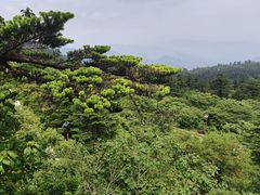 -狼山风景名胜区