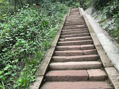-青城山