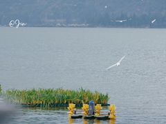 -昆明冠生园·蛋糕·面包(南强街店)