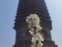 -玲珑塔公园