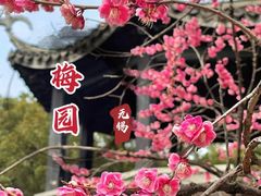 -无锡梅园公园