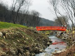 -羊山湖公园
