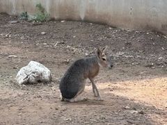 -辛玛王国游乐园