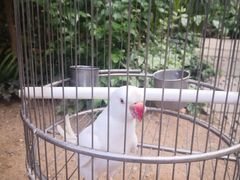 -南宫五洲植物乐园