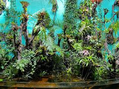 -太平洋海底世界