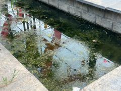 -洛阳市隋唐城遗址植物园