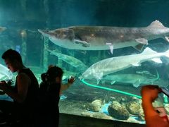 -华夏文旅海洋公园