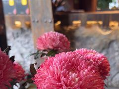 -都氏家DUSJOY(翡翠城店)