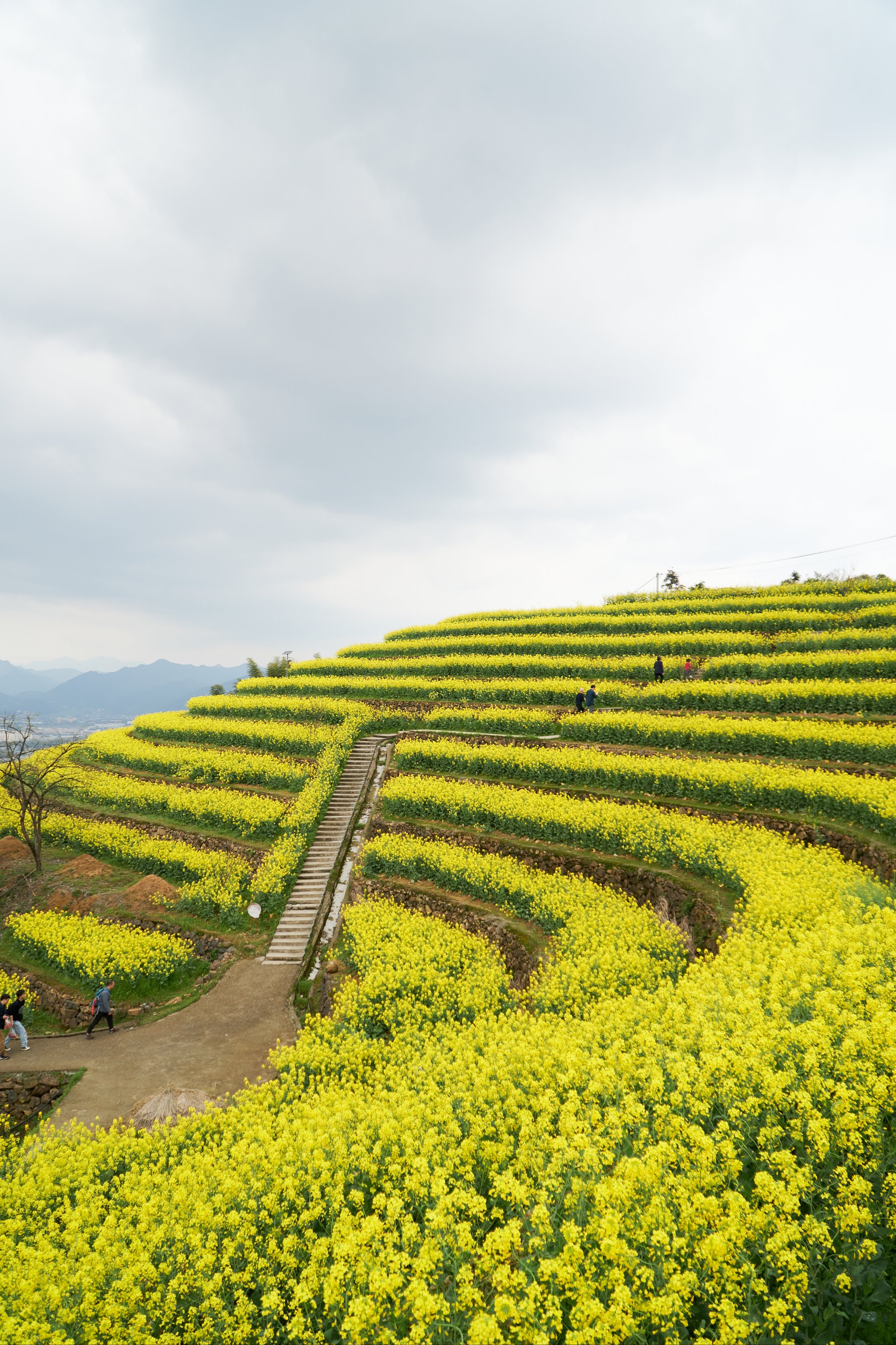 富阳最高的山图片