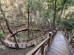 -大岭沟猕猴桃谷风景区
