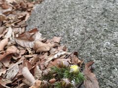 -三块石国家森林公园