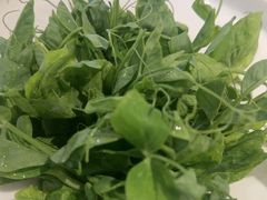 -烹然四季椰子鸡火锅(姚家园万象汇店)