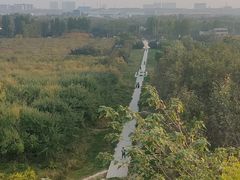-明秦王墓遗址