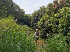 -凤岗南门山森林公园