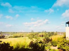 -上海崇明金茂凯悦酒店