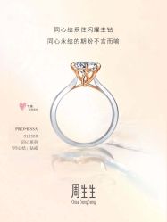 -周生生Chow Sang Sang(石家庄先天下店)