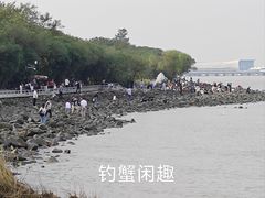 -上海吴淞炮台湾国家湿地公园