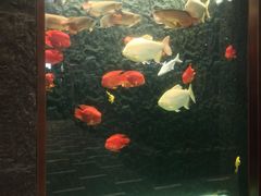 -弘安丽水温泉酒店
