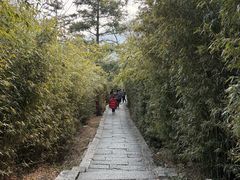 -青岛崂山太清宫