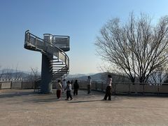 -羊山湖公园