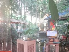 -二荆条·蜀鲜汇城市森林火锅