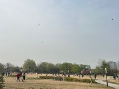-太阳宫公园