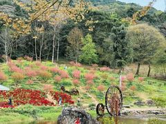 -广州市石门国家森林公园