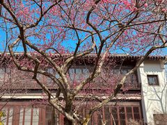 -杭州西子湖四季酒店-WL BISTRO西湖餐厅(灵隐路店)