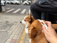 -小梁哥云吞面(黄贝岭店)