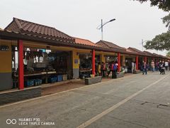 -大湾区中央湿地公园-十九涌